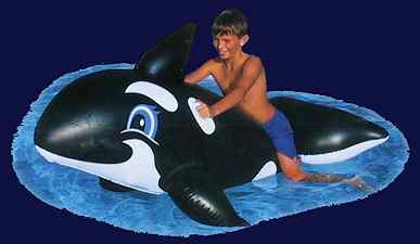 inflatable toy whale pool toy